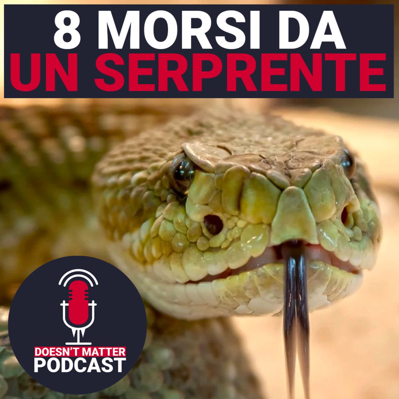 Doesn\'t Matter Podcast