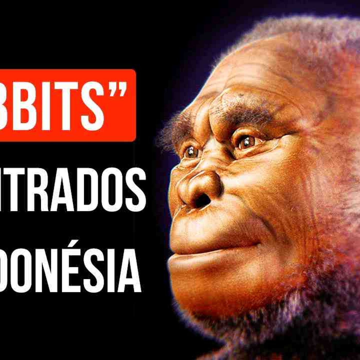 Os Hobbits Já Existiram mas Foram Extintos