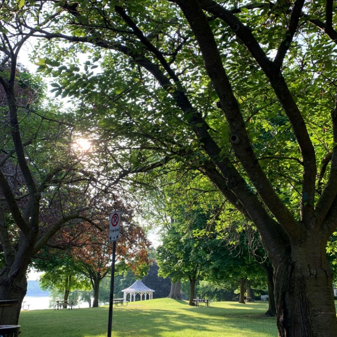 Prayer on the Go! - with Bishop Deb