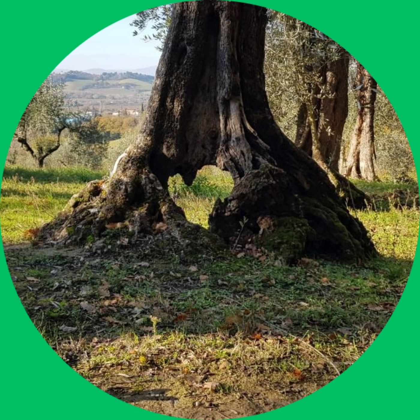 chi può definirsi bioregionalista episode artwork
