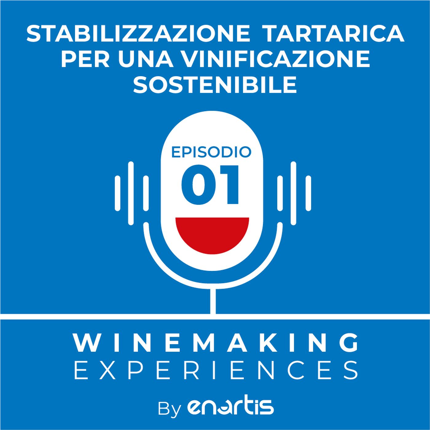 Winemaking Experiences by Enartis (versione italiana)