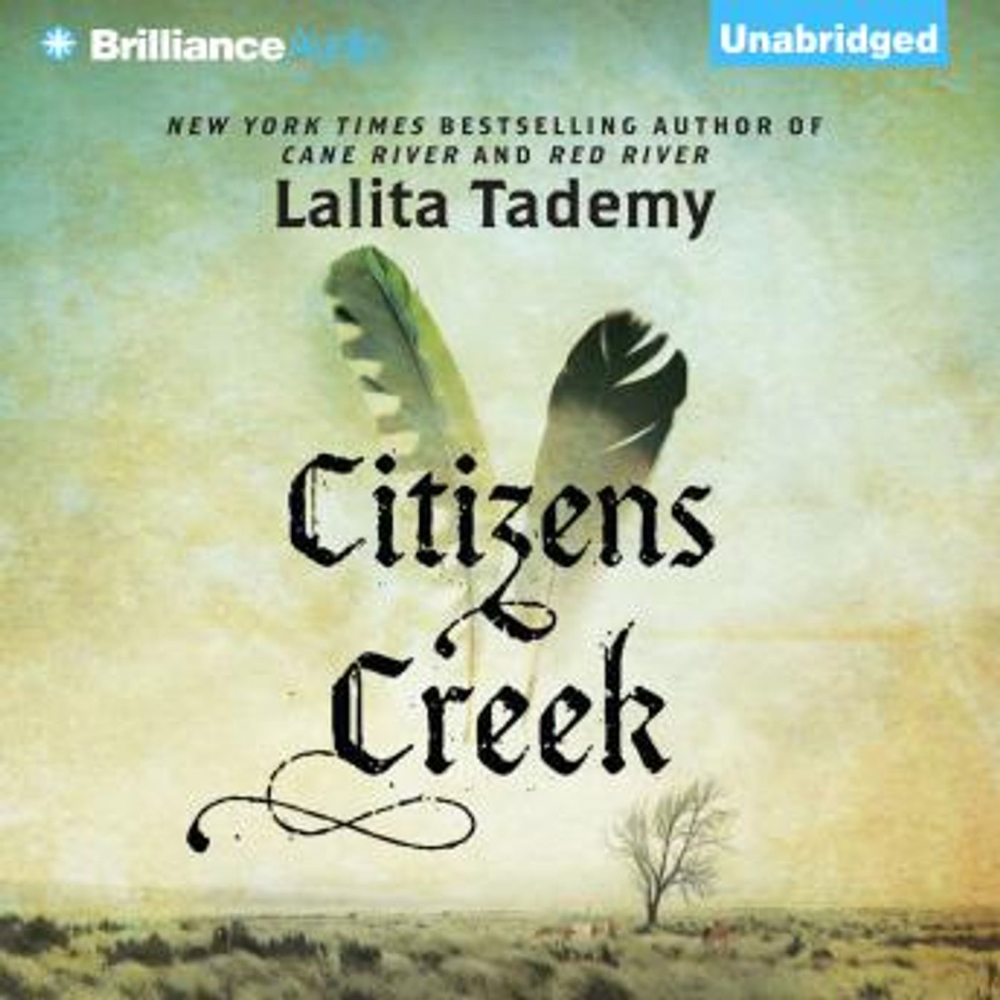 Get Your Favorite Full Audiobooks in Fiction, Westerns & War