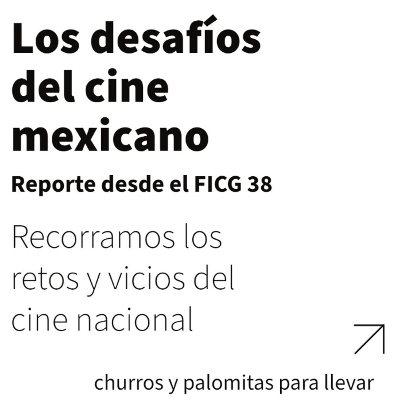 FICG 38.07 - Los desafíos del cine mexicano