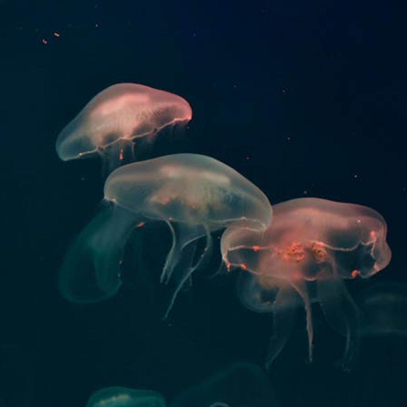 Waging War Against Drift