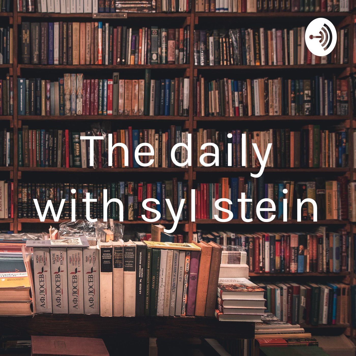 The daily with syl stein
