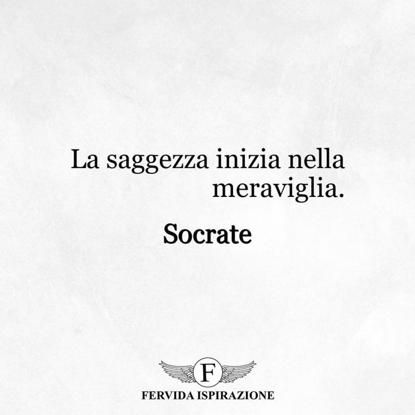 LA MERAVIGLIA E LO STUPORE