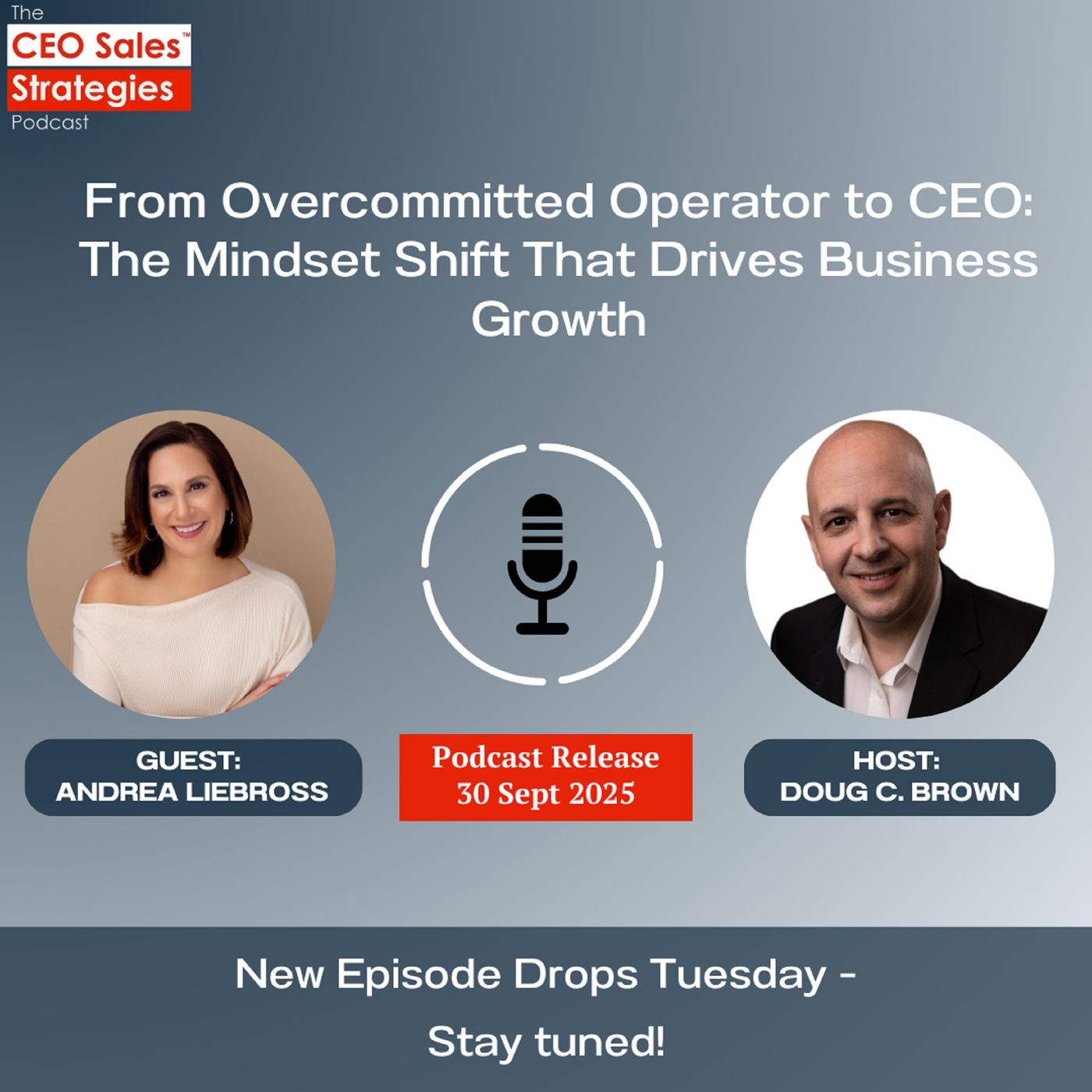 CEO Sales Strategies