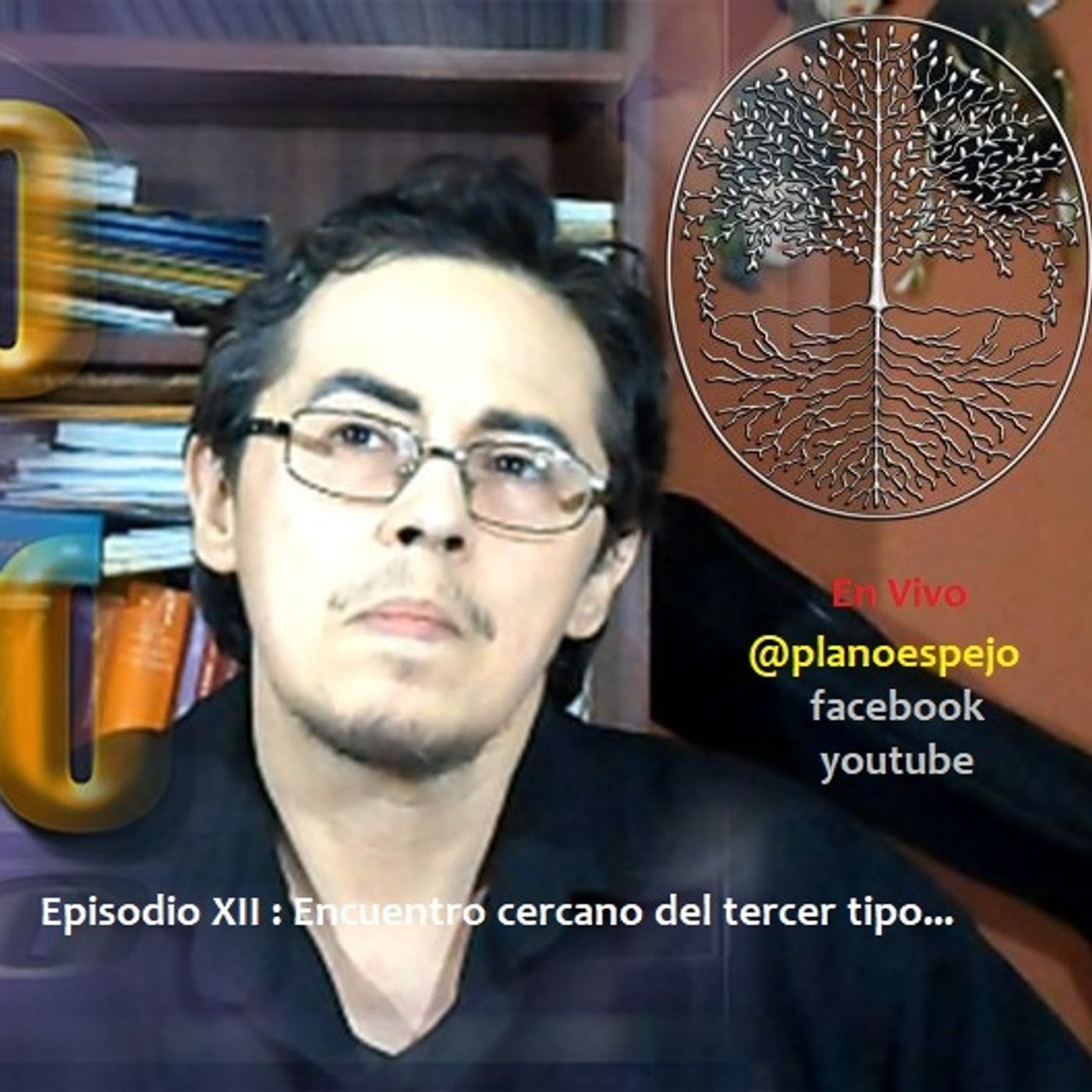 Plano Espejo: Develando lo Oculto