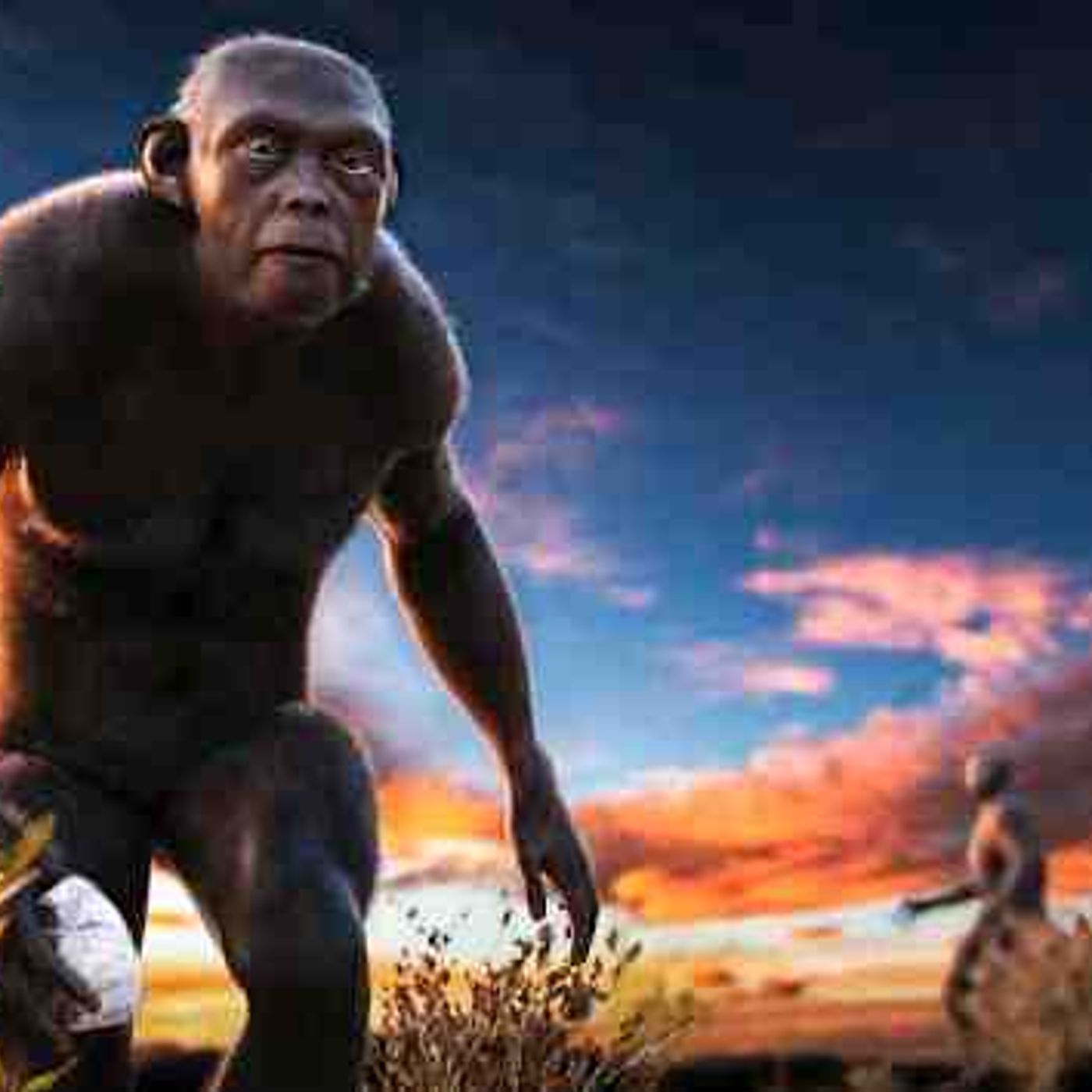 Human Origins - Documentary episode artwork