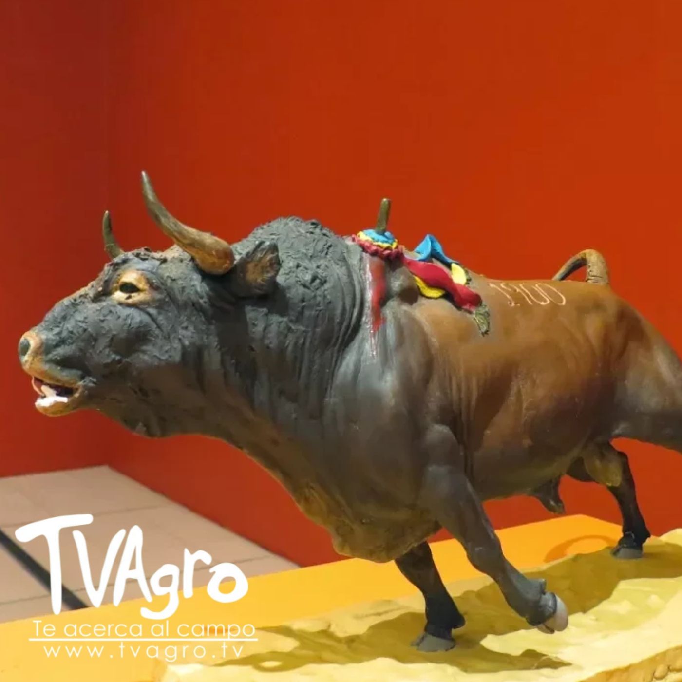 TV AGRO