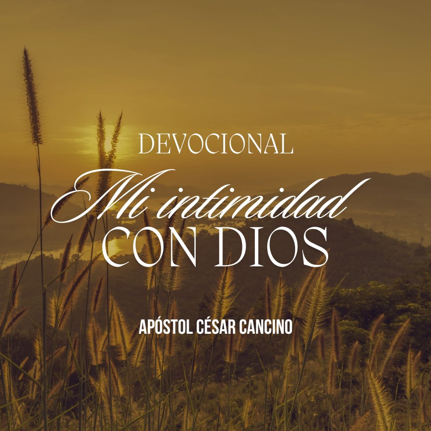 Portada de Ministerio Internacional La Gran Roca Red Global.