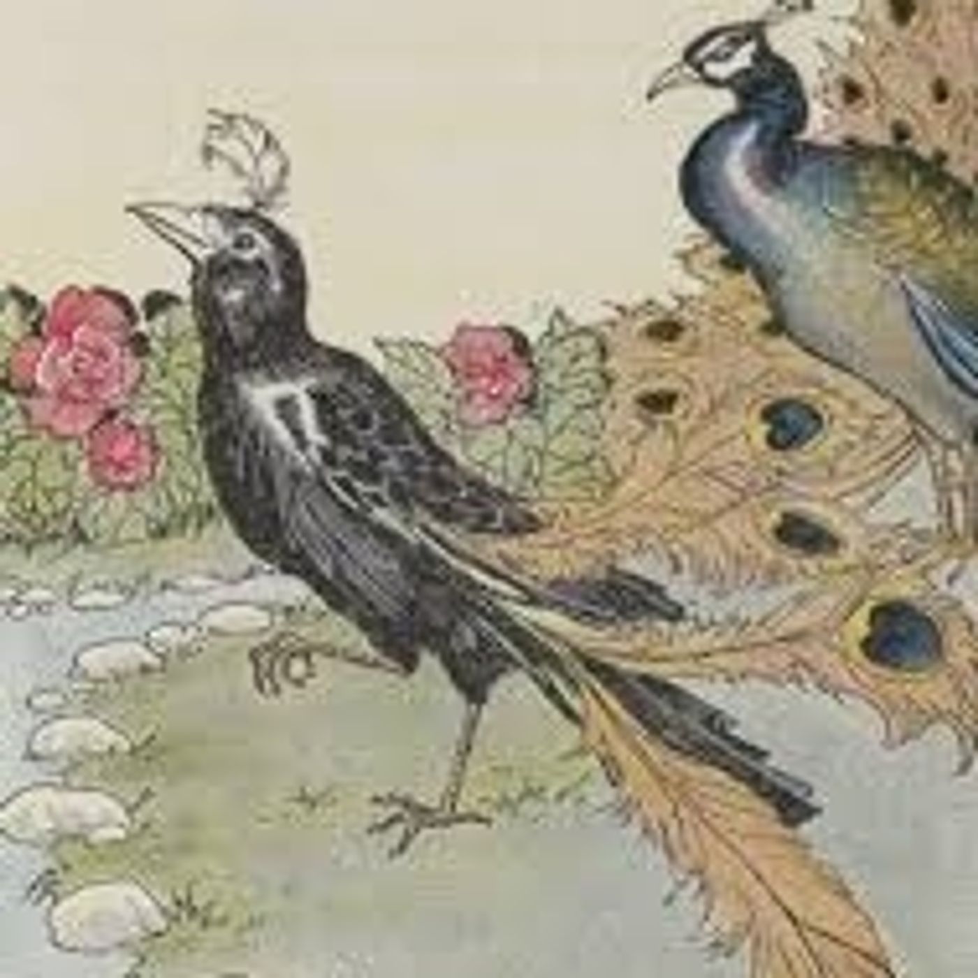 The Vain Jackdaw episode artwork