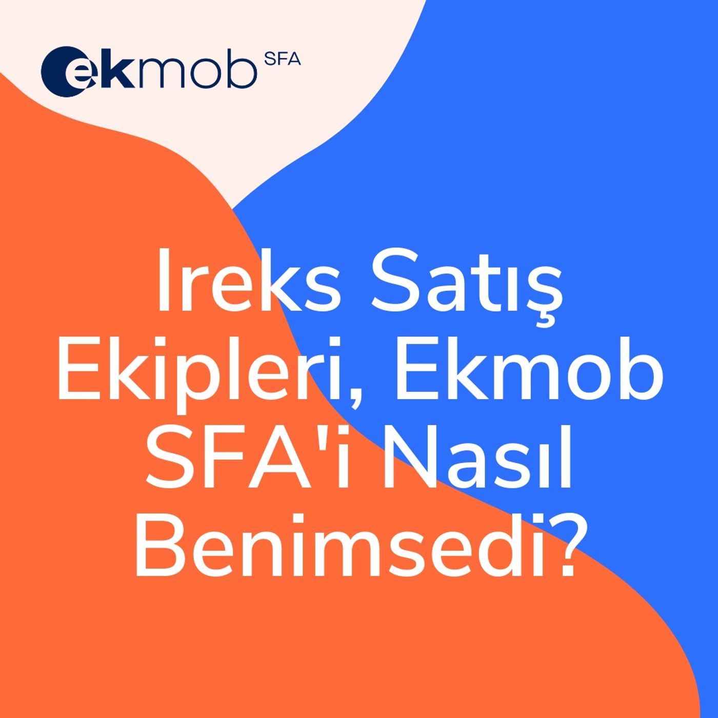 Satış Ekibi Yönetimi