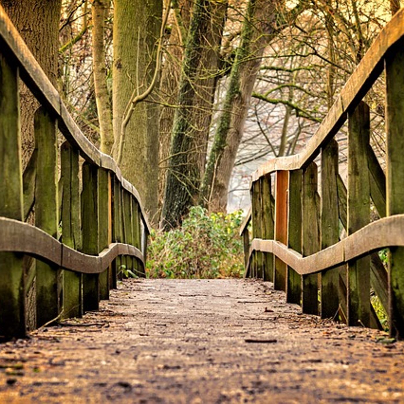 The Well Trodden Road