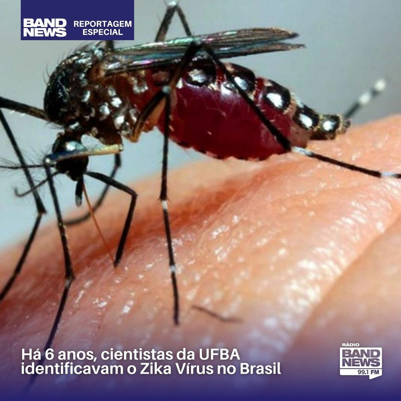 Reportagem Especial BandNews FM: Seis anos de Zika Vírus no Brasil (ARTUR QUEIROZ) episode artwork