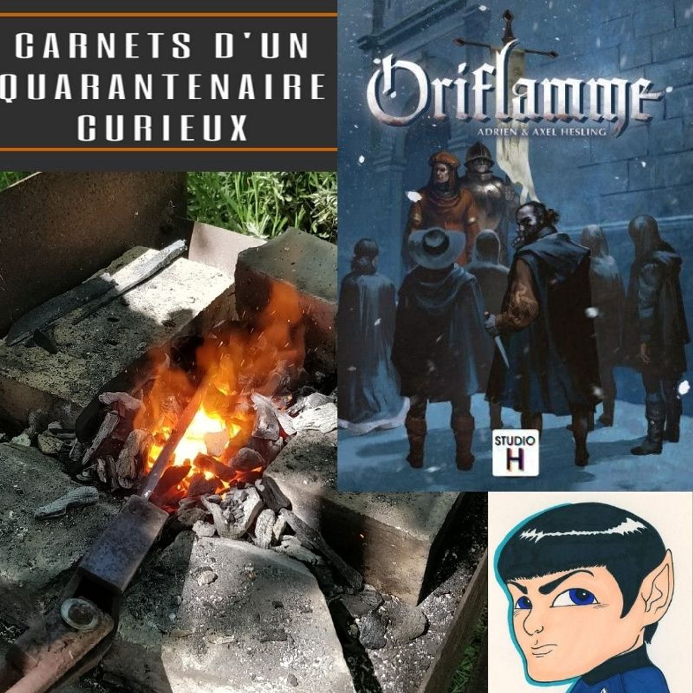 Les carnets d\'un quarantenaire curieux