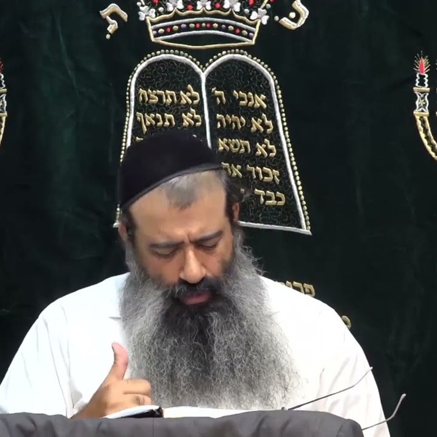 החיות היא סוד האחד - שיעור 13 | כוונת ה' אחד | אליו ולא למידותיו | הרב מאיר מועלם episode artwork
