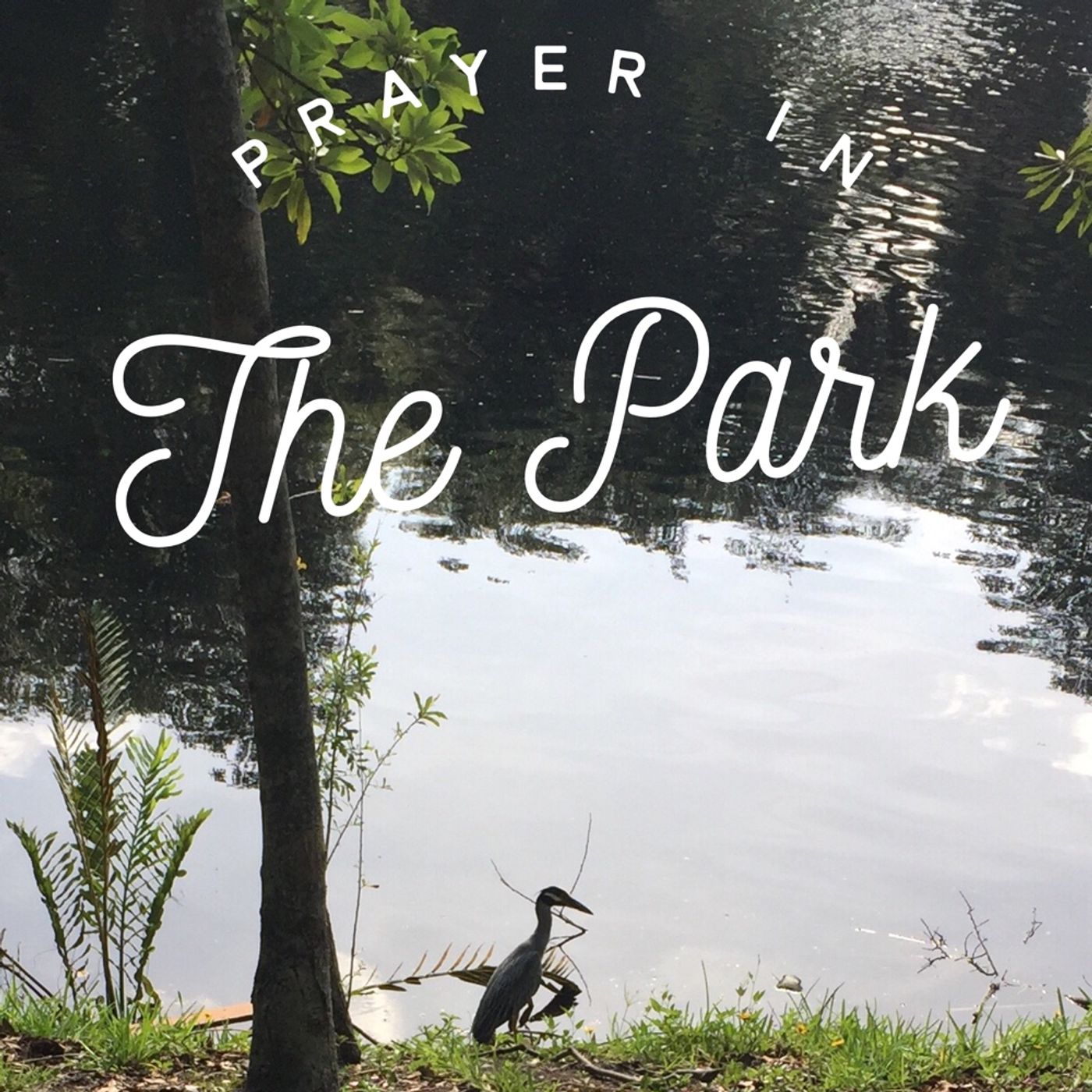 Prayer for the Hurting (Wounded) episode artwork