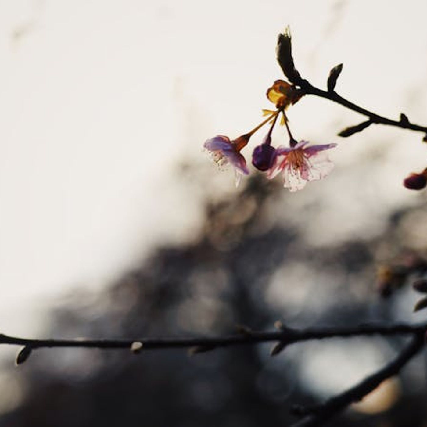 How Do I Submit to My Unbelieving Husband?