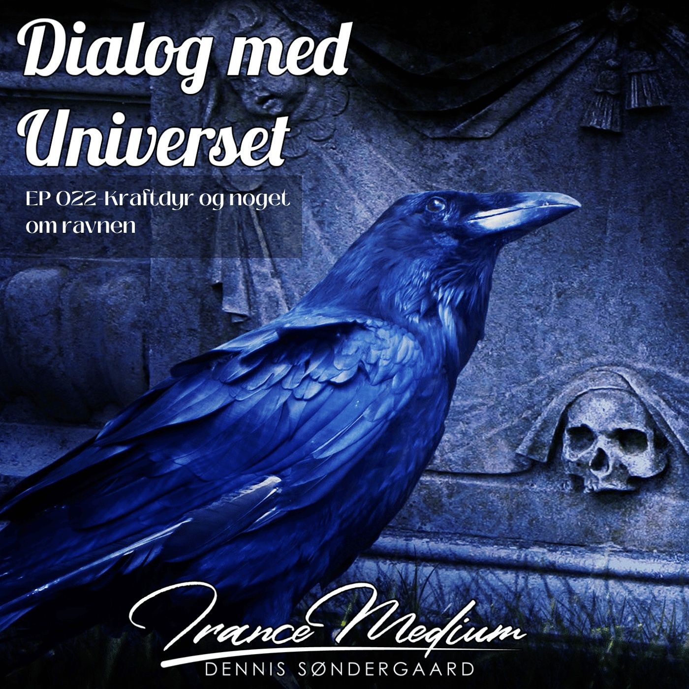 Dialog med Universet