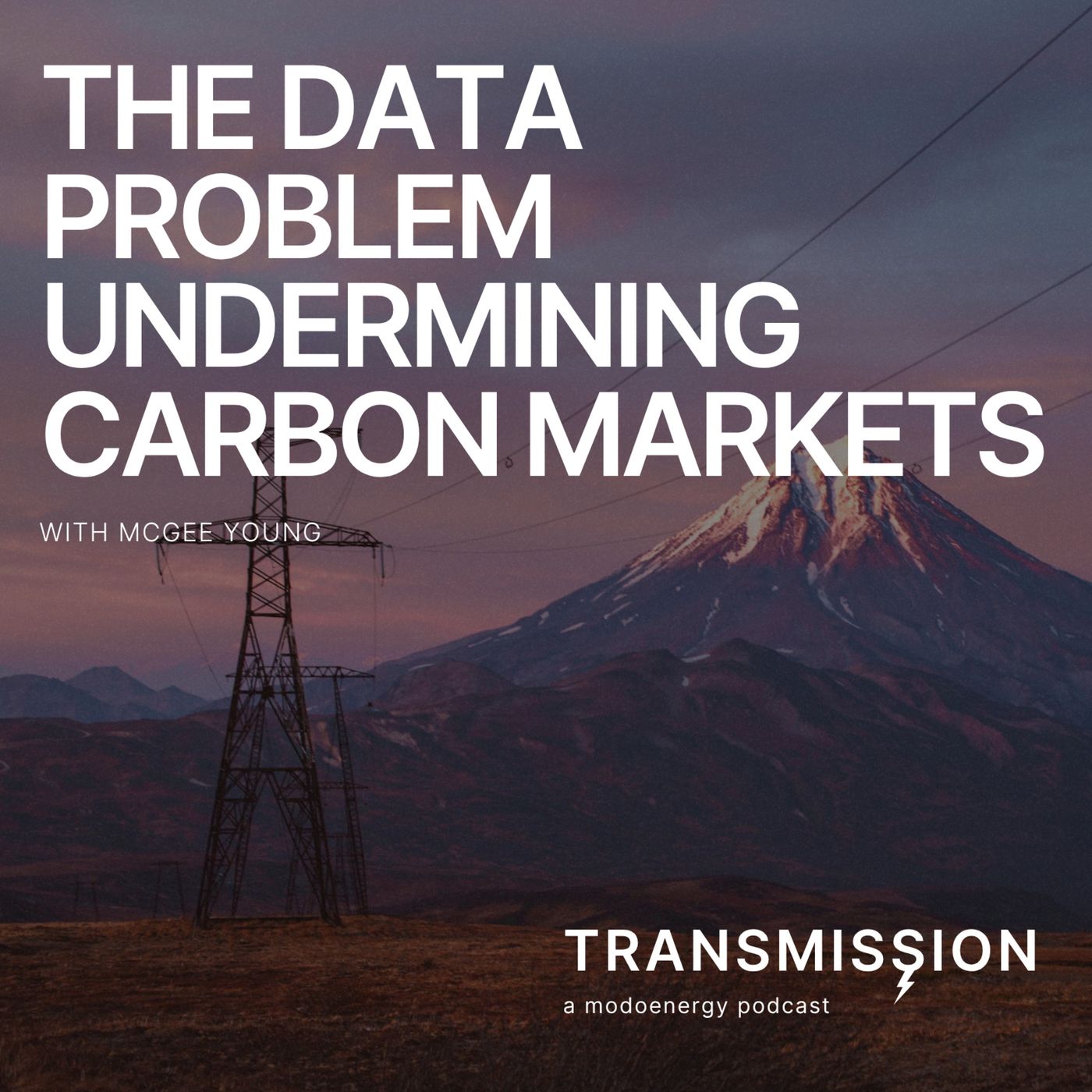 The data problem undermining carbon markets with McGee Young (Founder & CEO  - WattCarbon)