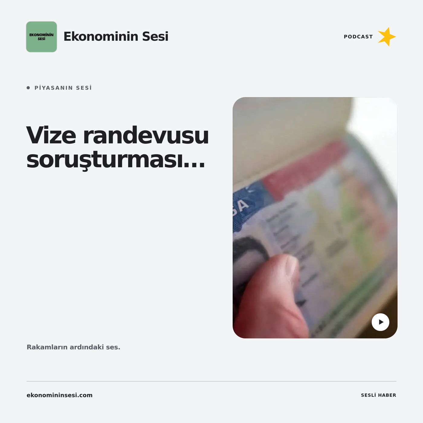 Vize randevusu soruşturmasında 8 ilde 60 şüpheliye operasyon