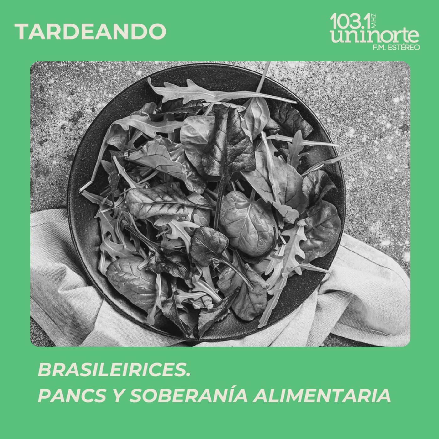 Brasileirices :: PANCs y Soberanía Alimentaria episode artwork