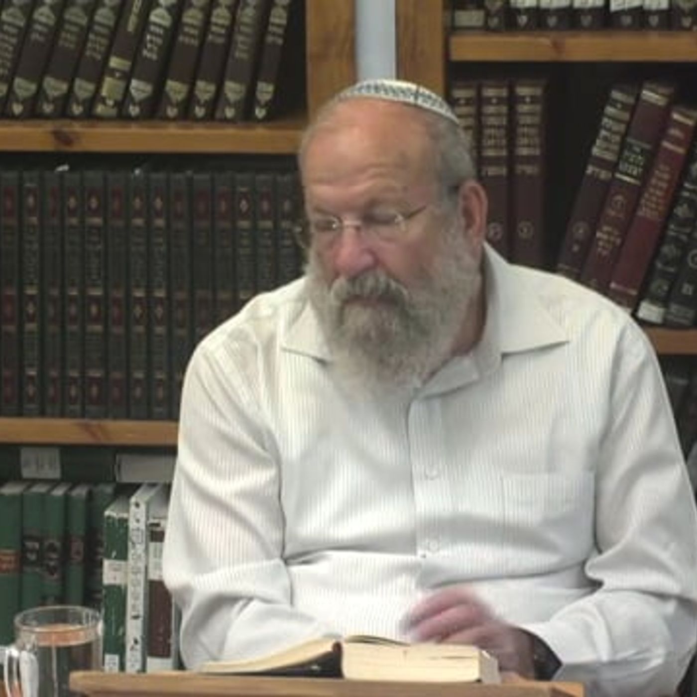 חזון עם בירור נוקב בדרך לתיקון ולבניין | הרב אלישע וישליצקי זצ"ל episode artwork
