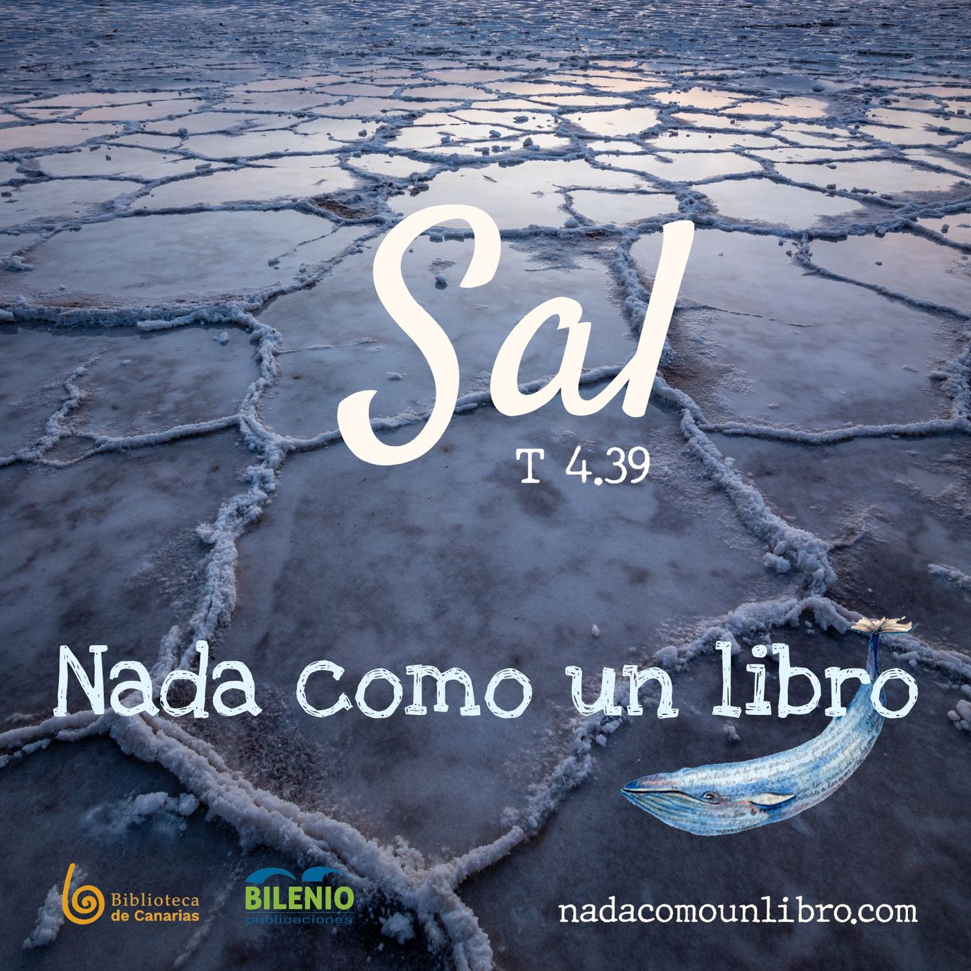 Nada como un libro, con Juan Carlos Saavedra y Daniel Martín