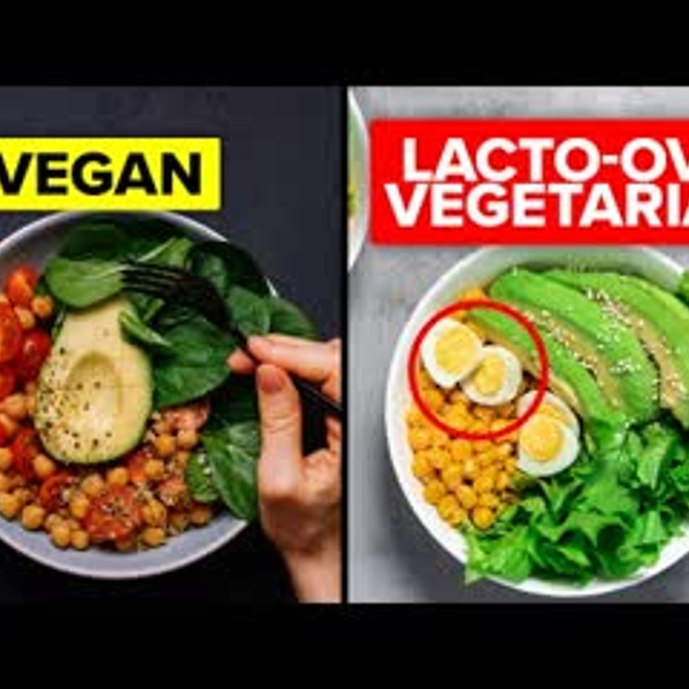 10 Type Of Vegetarian Diets That You Should Know About episode artwork