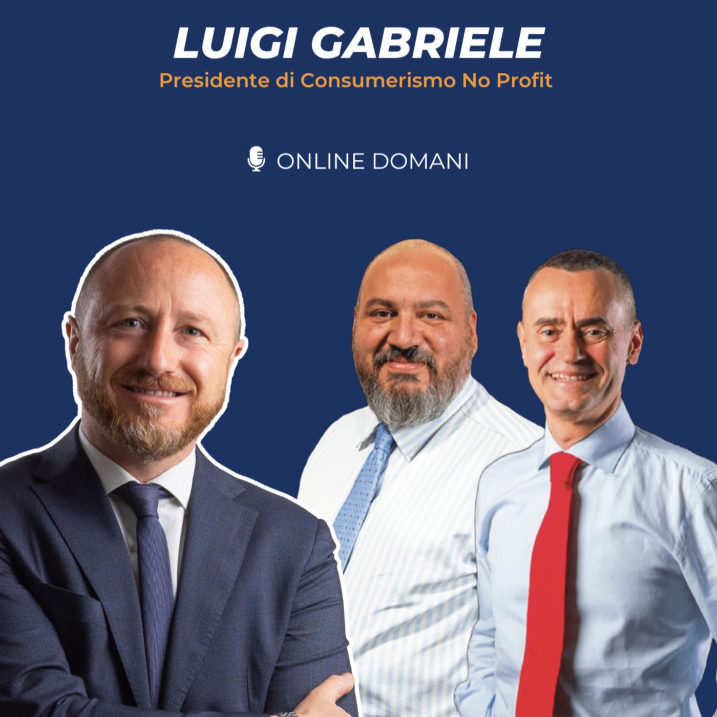 N.4 - Consumerismo No Profit: intervista a Luigi Gabriele di Filippo Poletti e Raffaele Abbattista | FareTerzoSettore episode artwork