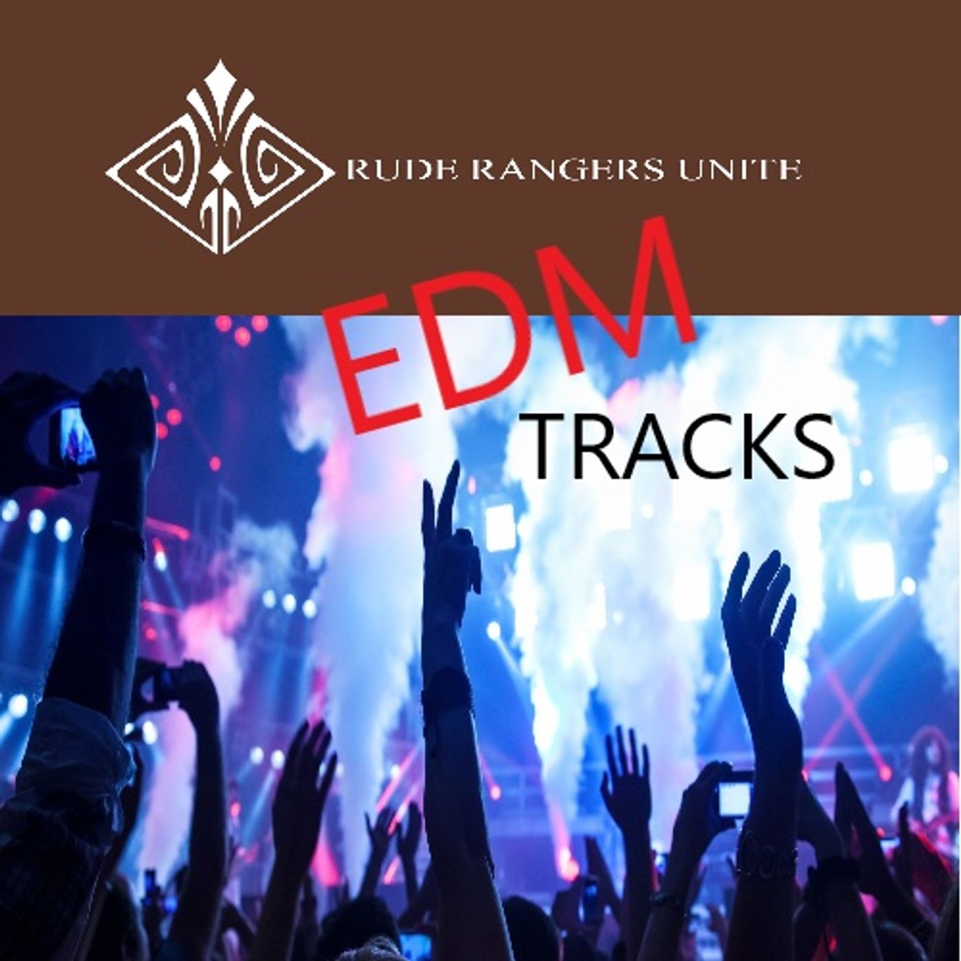 EDM Vibes v1 episode artwork