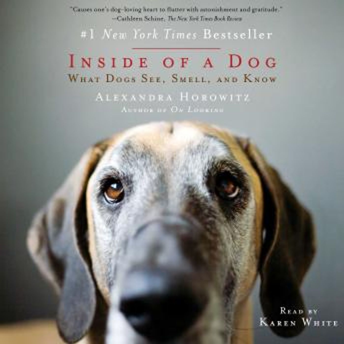 Listen to Trending Full Audiobooks in Non-Fiction, Animals & Nature