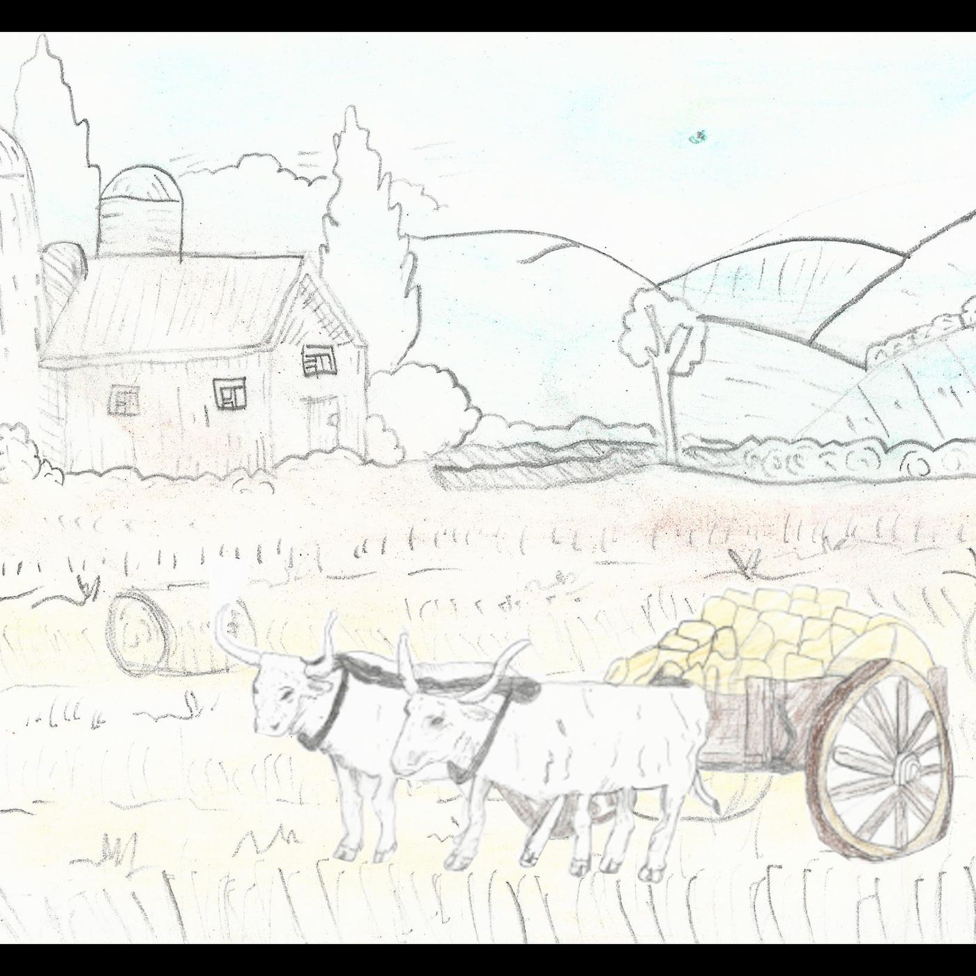 VIAGGIO NEL TEMPO CON L\'AGRICOLTURA