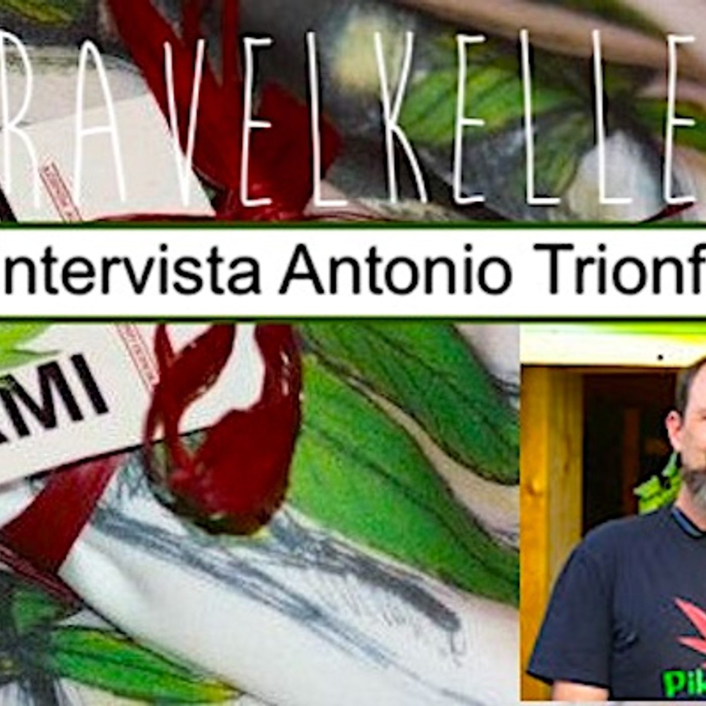 Ep. 3 Intervista ad Antonio Trionfi Honorati - Prima parte episode artwork