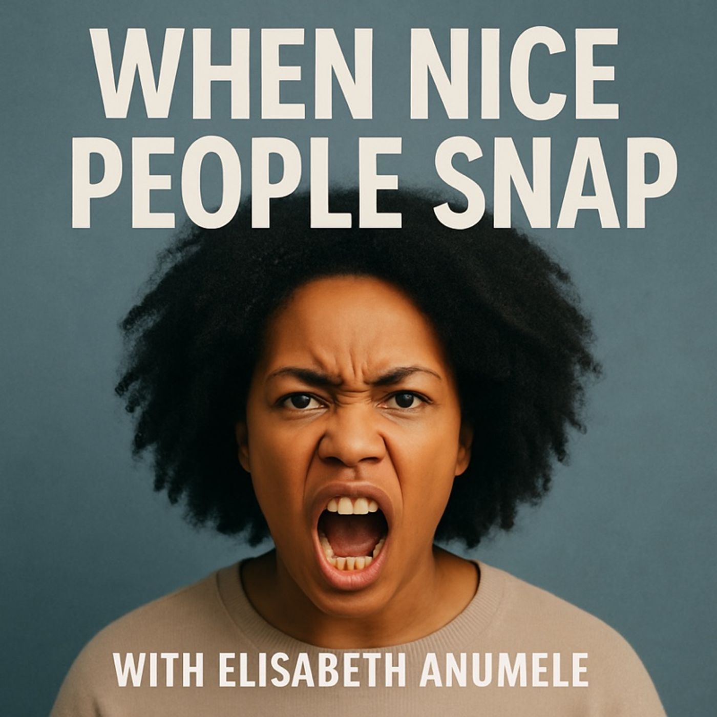 When Nice People Snap episode artwork