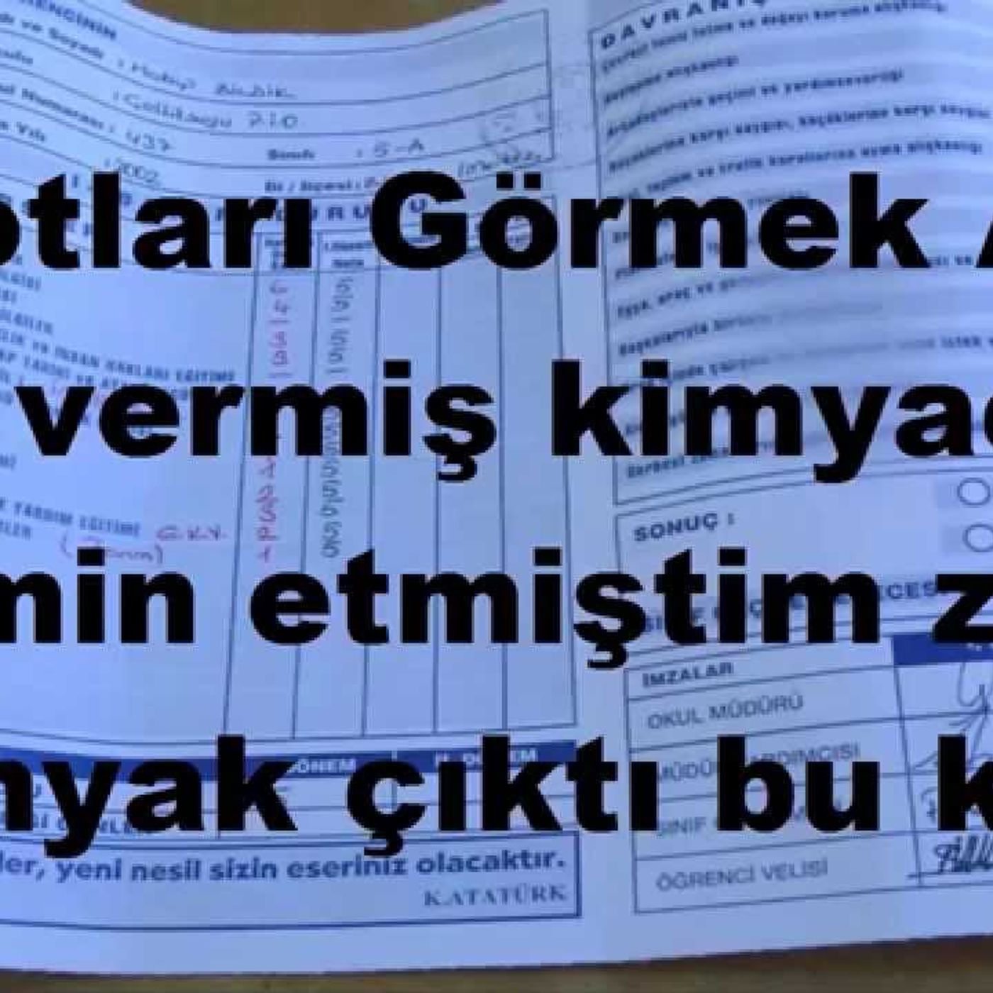 Allam bu çınar mı