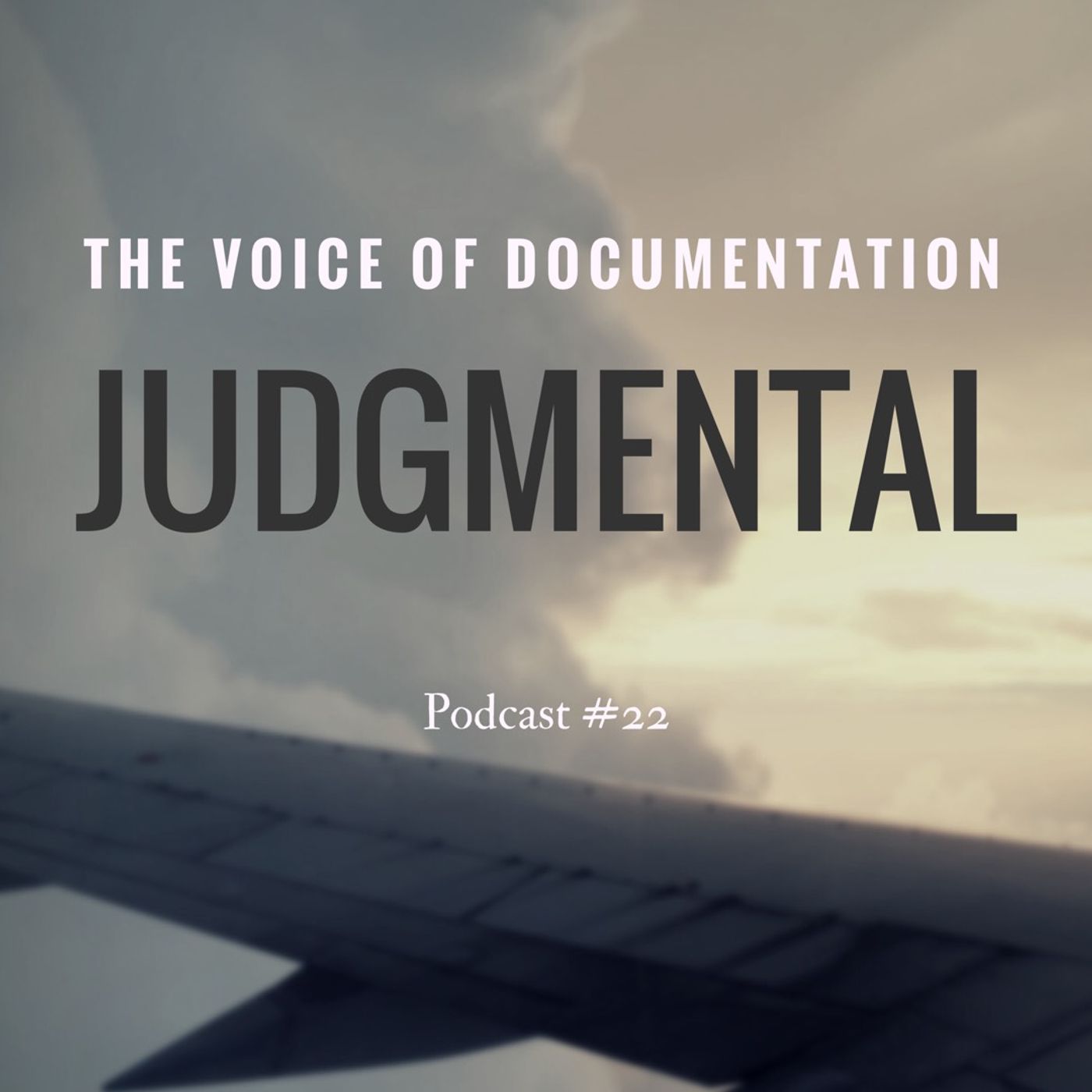 The Voice Of Documentation