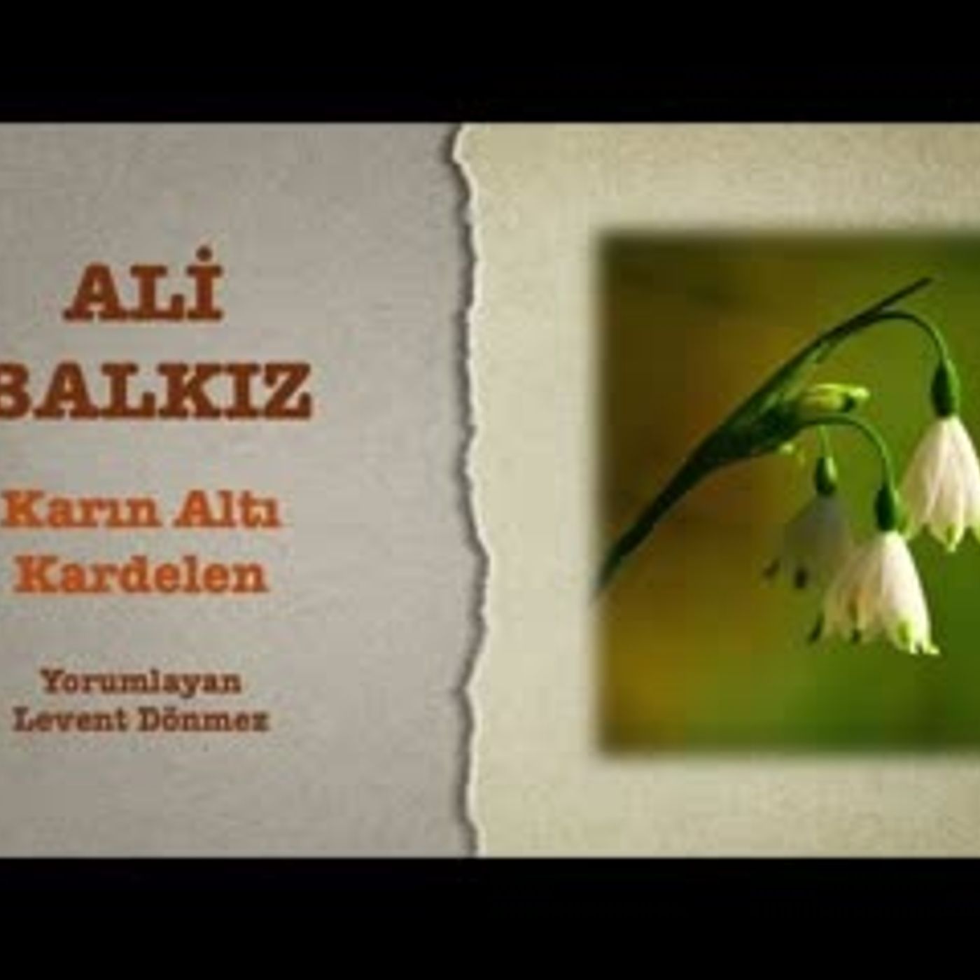 Ali Balkız - Karın Altı Kardelen episode artwork