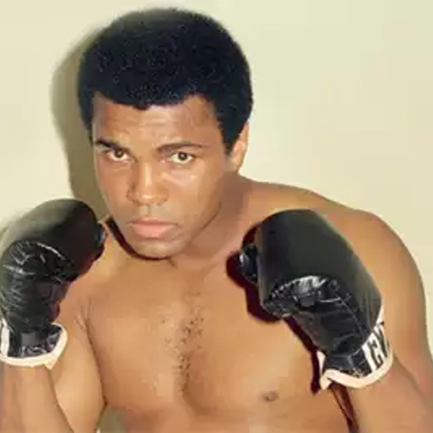 Everything 80s Patreon Feed