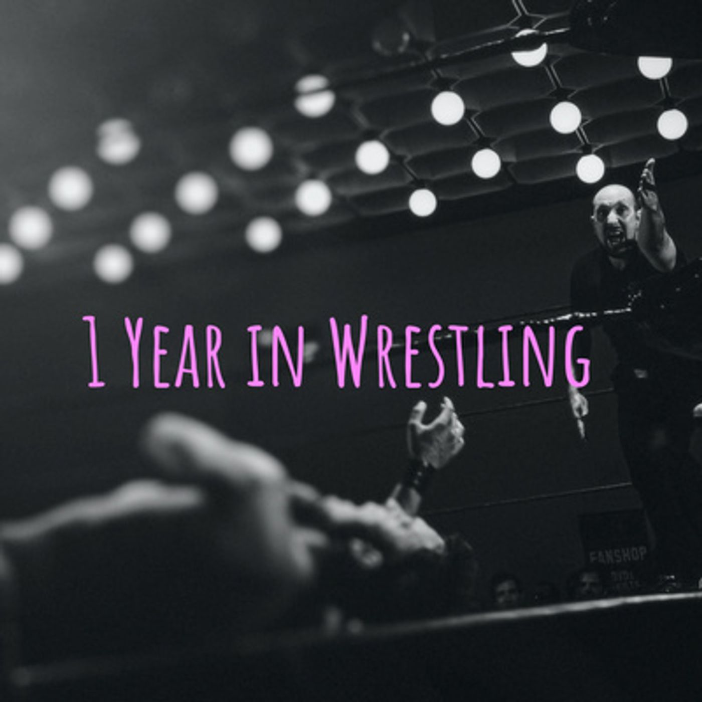 1 Year in Wrestling