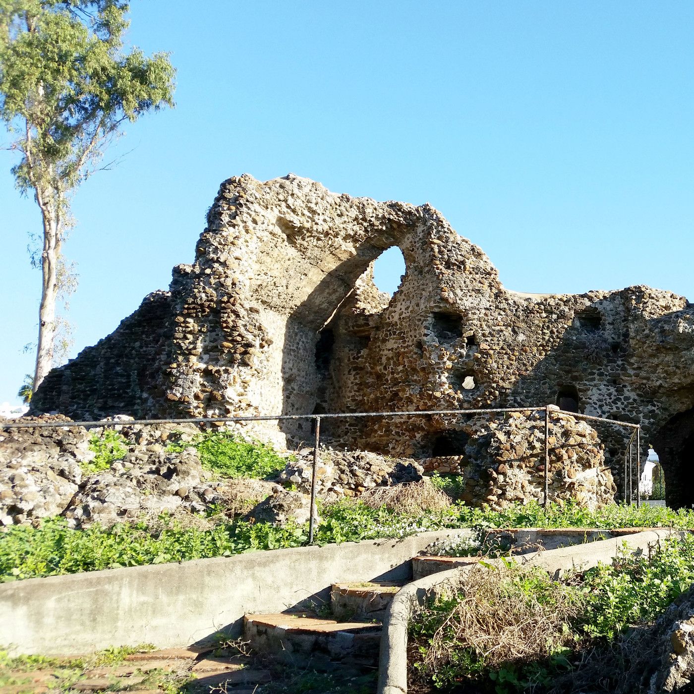 Crónicas de San Pedro Alcántara