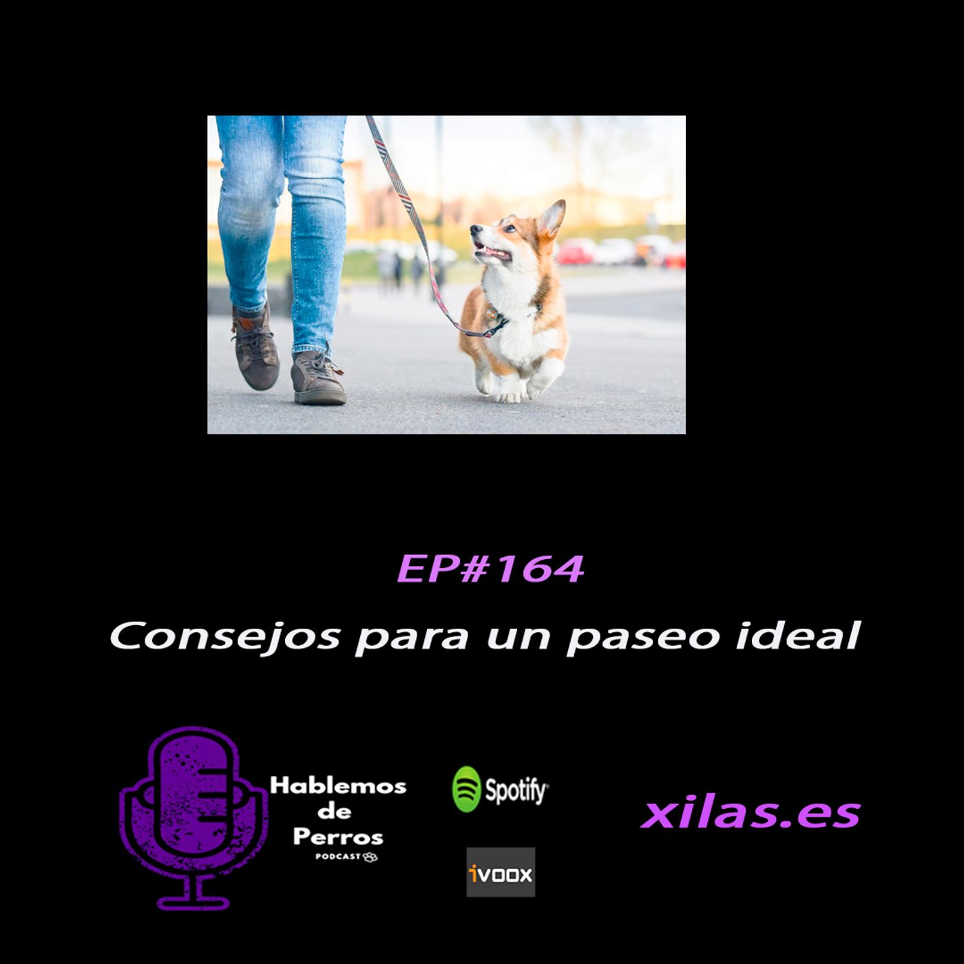 Hablemos de perros