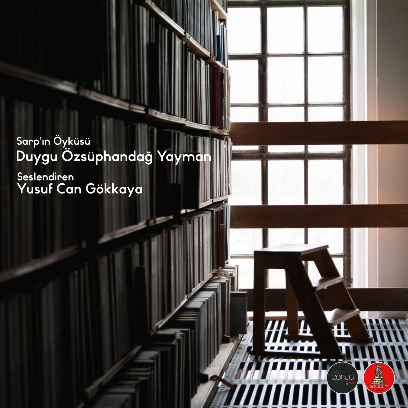 Öykü | Duygu Özsüphandağ Yayman - Sarp'ın Öyküsü
