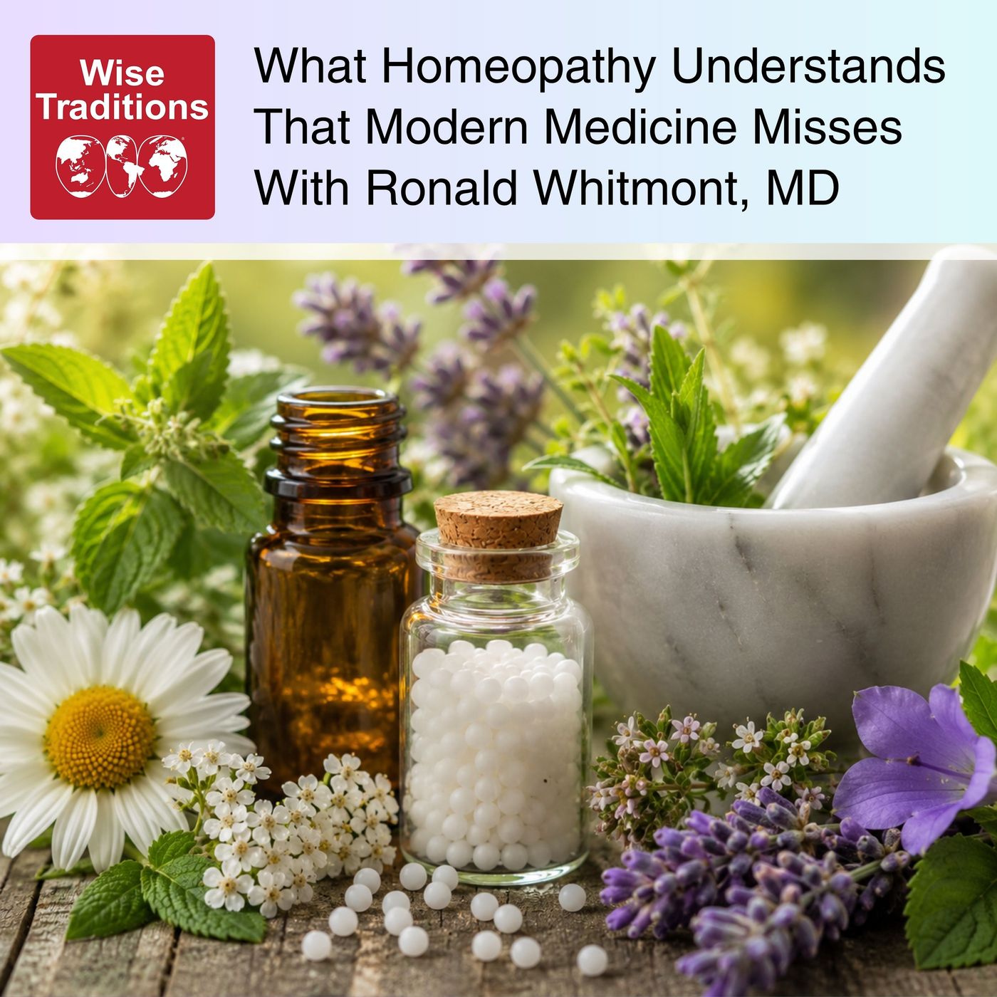 588: What Homeopathy Understands That Modern Medicine Misses With Ronald Whitmont, MD — Wise Traditions cover