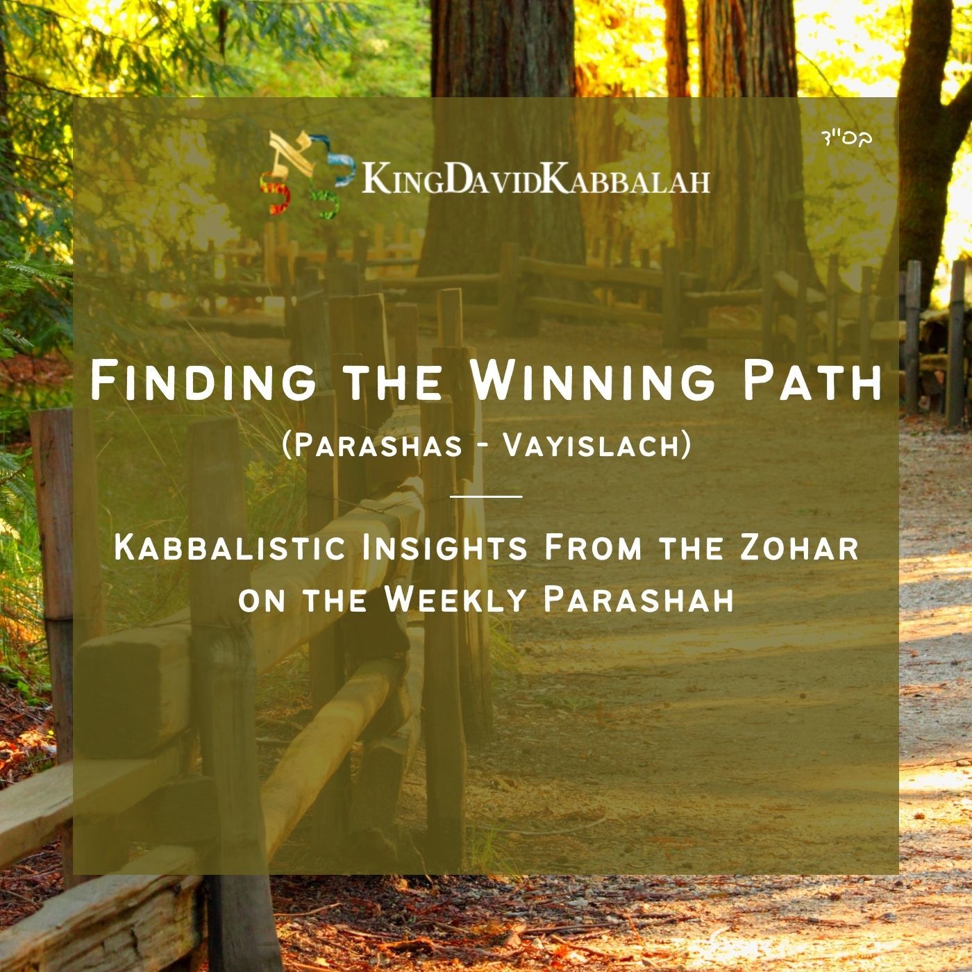 Kabbalistic Inspiration on the Parasha from the Zohar - Finding the Winning Path