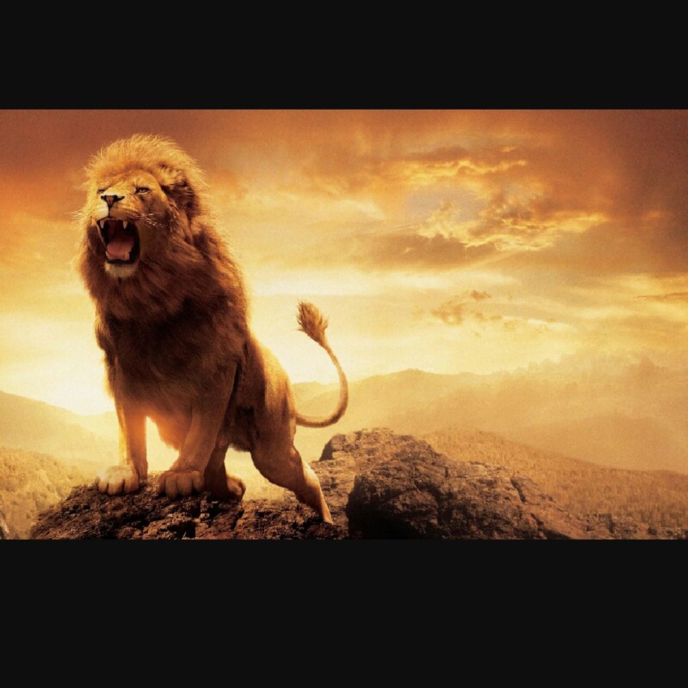 🔥Lions Den 3🔥 episode artwork