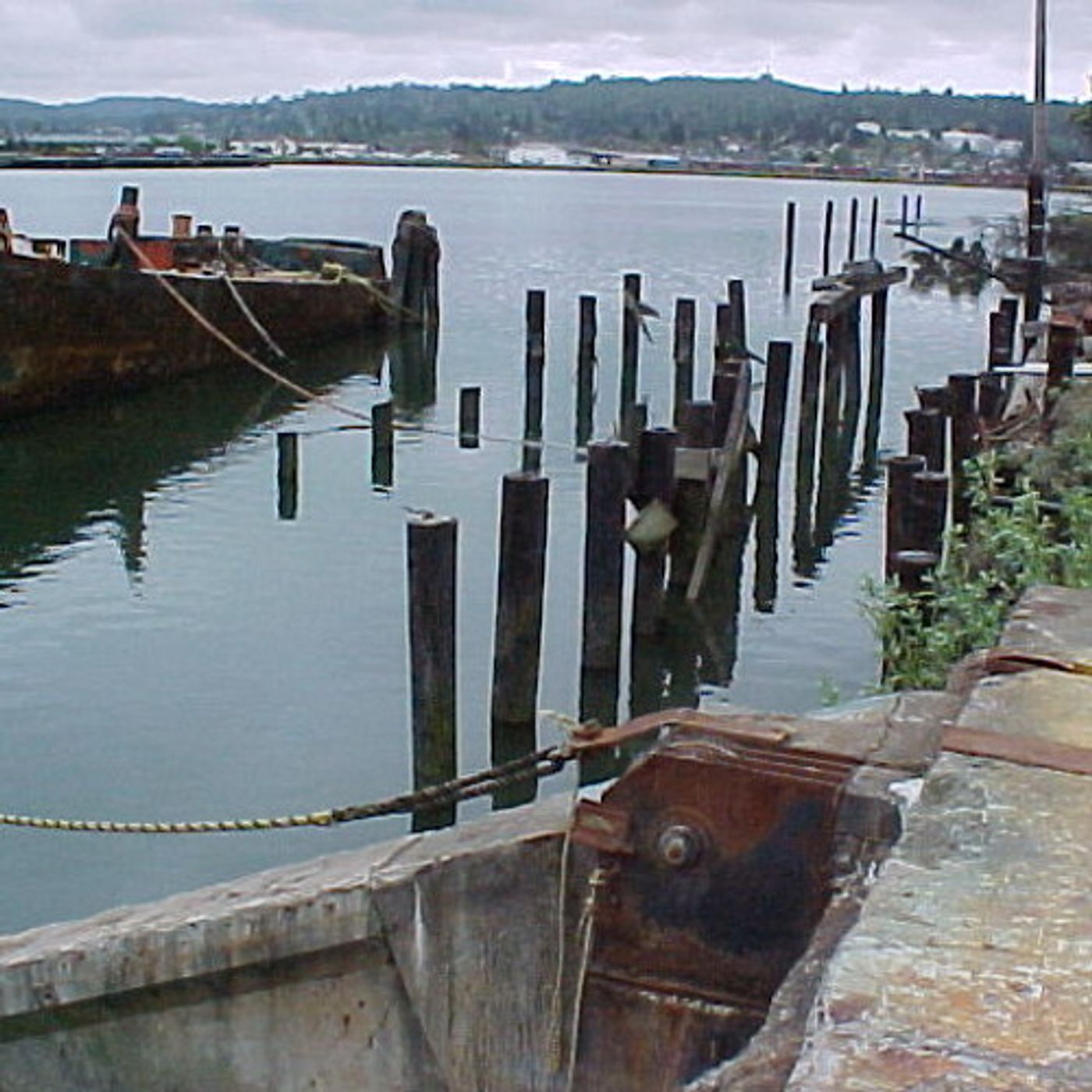 Coos Bay Shipyard Cleanup Project Resumes After 14 Years episode artwork