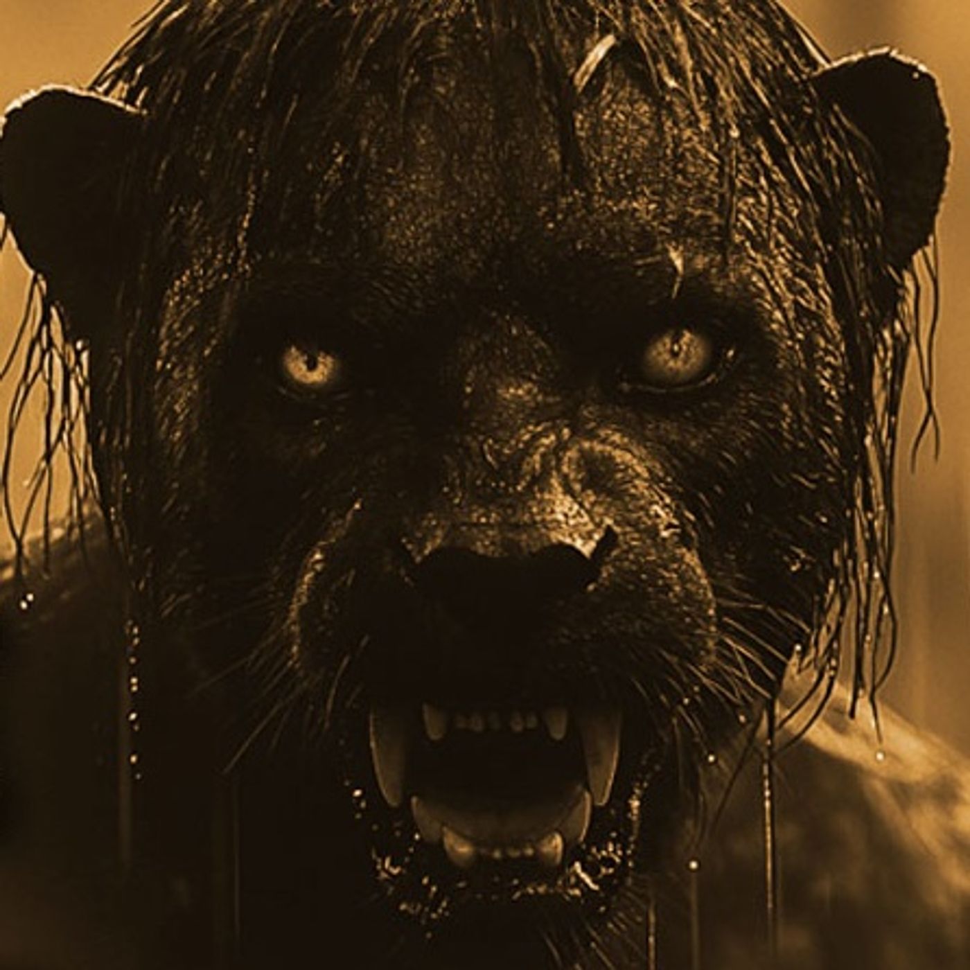 Hice Enojar A Un Nahual Historias De Terror - REDE