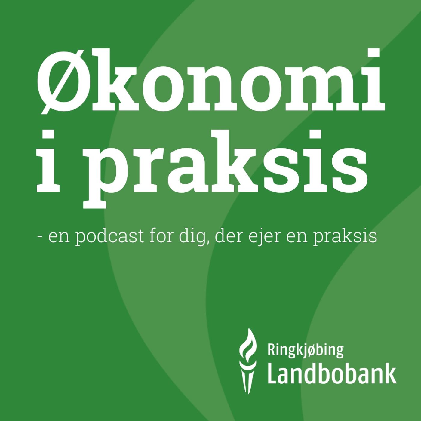 Økonomi i praksis
